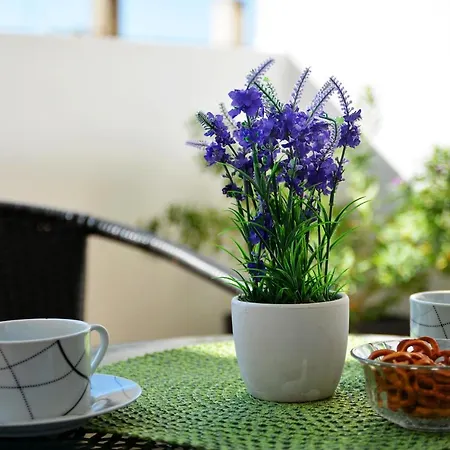 Dijana 3 Appartement *